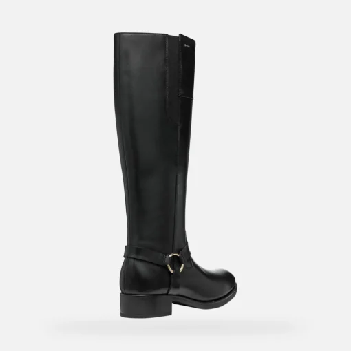 FELICITY ABX DONNA