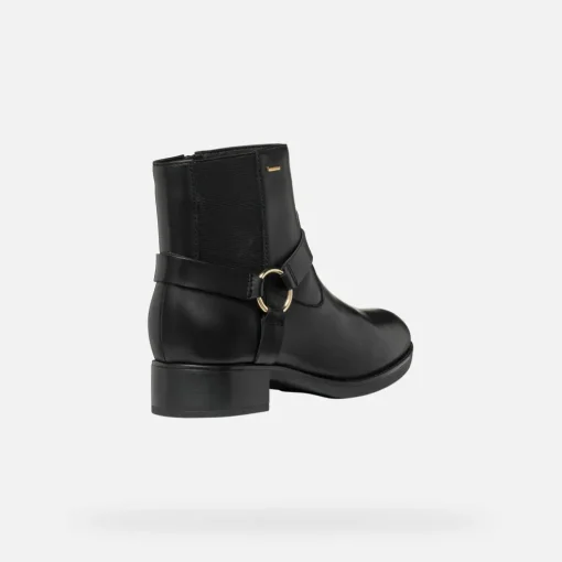 FELICITY ABX DONNA