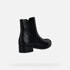 FELICITY ABX DONNA