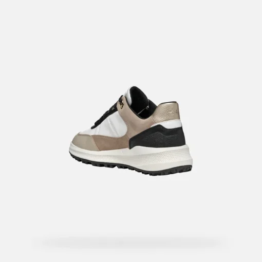 PG1X ABX DONNA