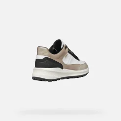 PG1X ABX DONNA