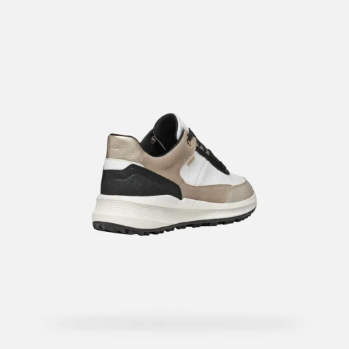 PG1X ABX DONNA